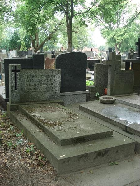 Zdjęcie grobu Otylia Cyzmer (1)