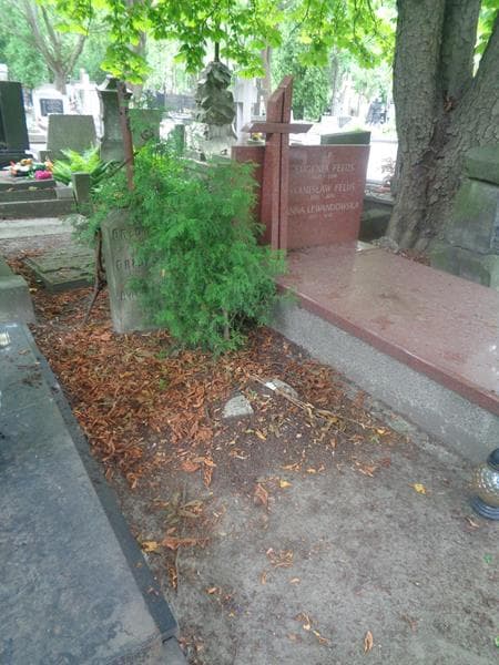 Zdjęcie grobu: Józefa Orłowska