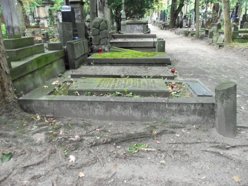 Zdjęcie grobu Jan Krzemiński (1)