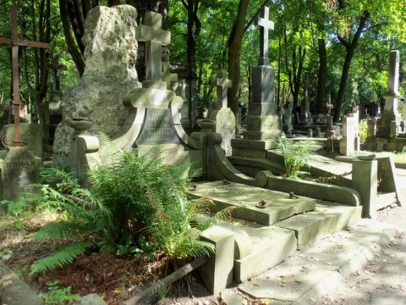 Zdjęcie grobu Jadwiga Dłużewska (1)