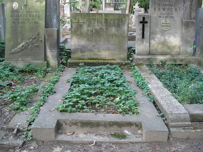 Zdjęcie grobu Stefan Jeżewski (1)