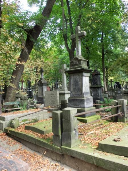 Zdjęcie grobu Bronisława Ciunkiewicz (1)