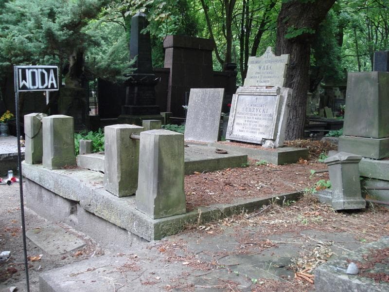 Zdjęcie grobu Lubomira Walc (1)