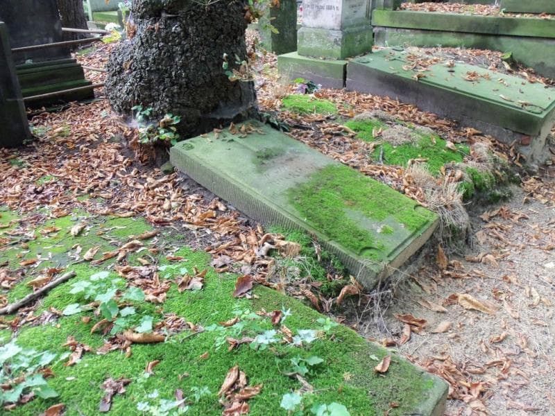 Zdjęcie grobu Alexander Boski (1)