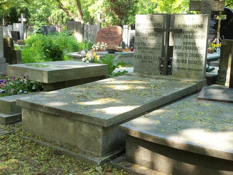 Zdjęcie grobu Józefa Długosz (1)
