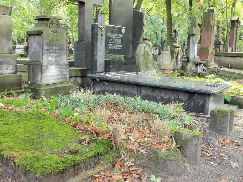 Zdjęcie grobu Szymon Wyszomirski (1)