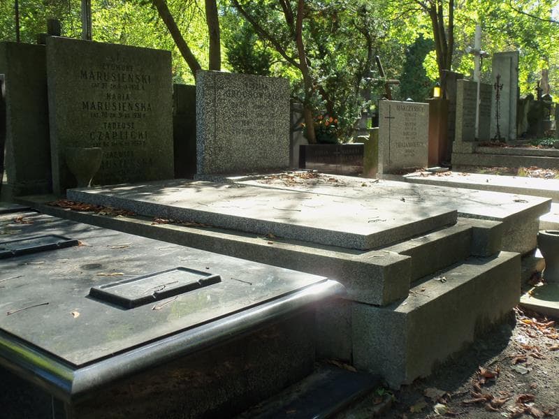 Zdjęcie grobu Zygmunt Marusieński (1)