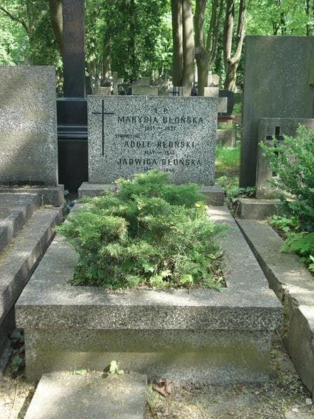 Zdjęcie grobu: Jadwiga Błońska