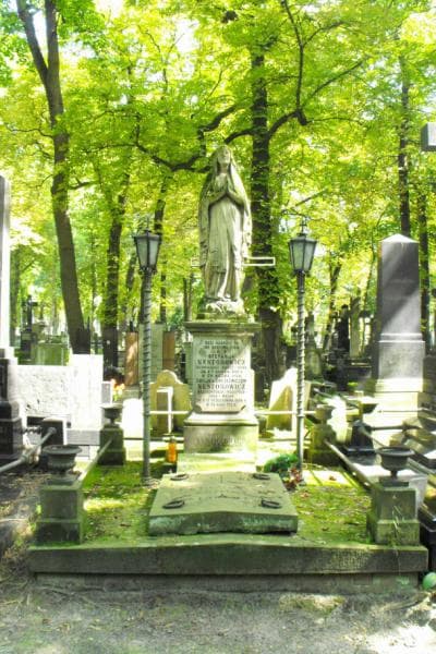 Zdjęcie grobu: Melchior Władysław Nestorowicz