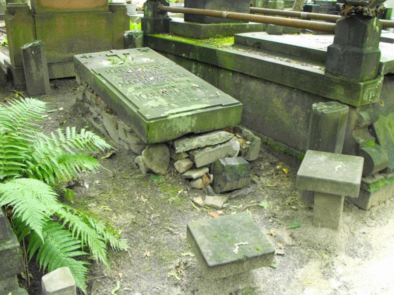 Zdjęcie grobu Julja Marcinkowska (1)