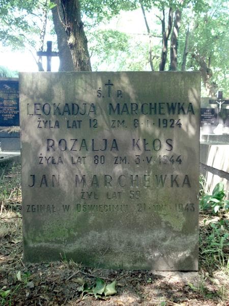 Zdjęcie grobu Jan Marchewka (1)