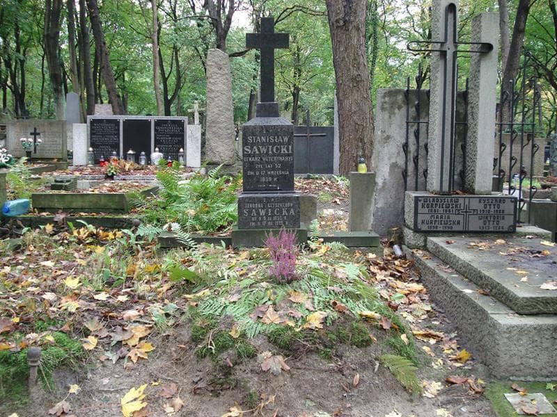 Zdjęcie grobu: Stanisław Sawicki