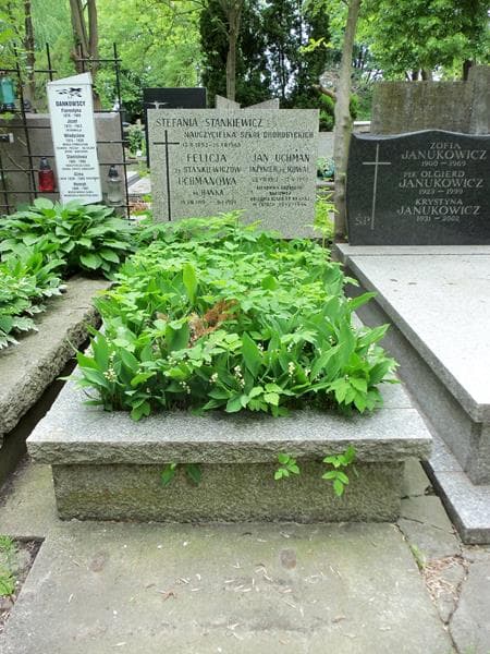 Zdjęcie grobu: Jan Uchman