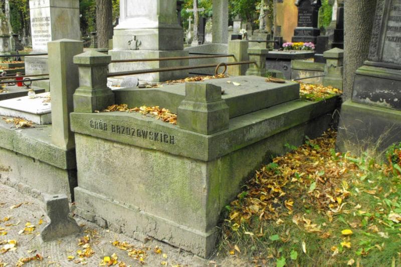 Zdjęcie grobu Brzozowscy (1)