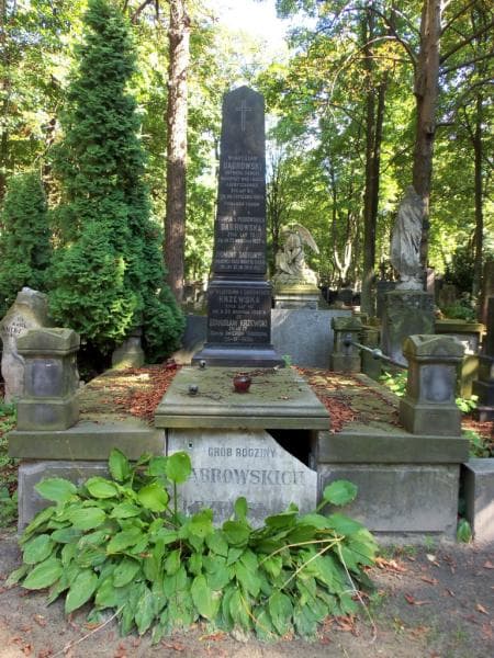 Zdjęcie grobu: Władysława Krzewska