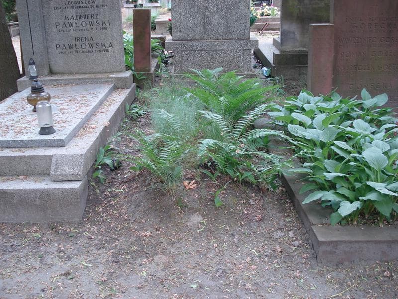 Zdjęcie grobu: Pole Grobowe