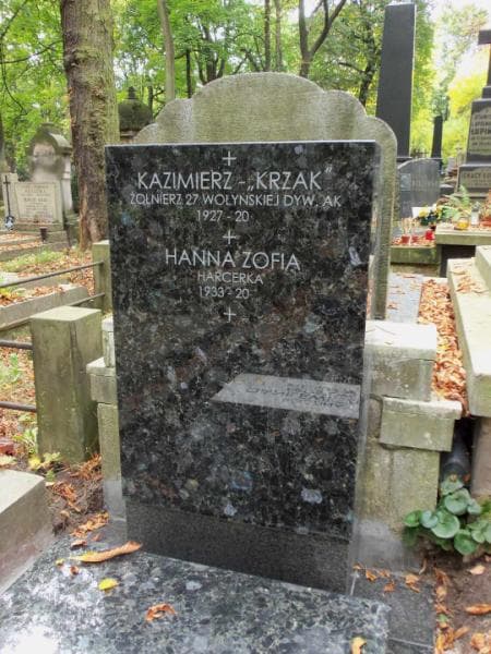 Zdjęcie grobu Danielewiczowie (2)