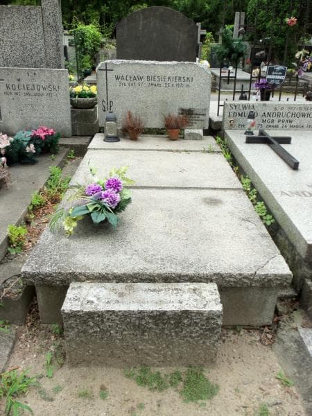 Zdjęcie grobu Wacław Biesiekierski (1)