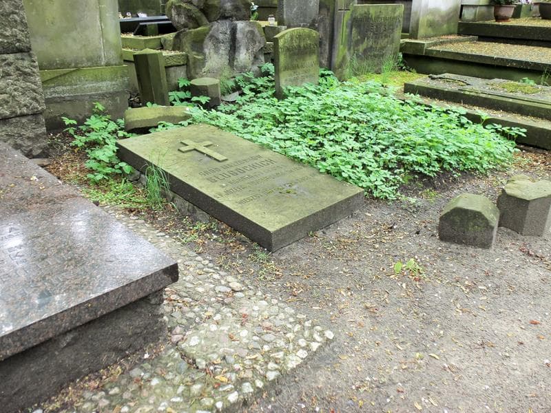 Zdjęcie grobu Konstanty Sługocki (1)