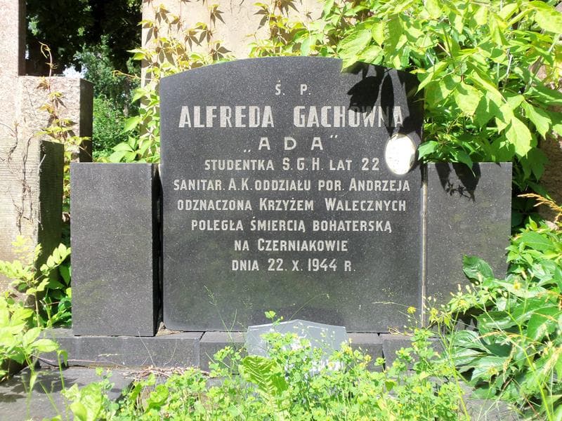 Zdjęcie grobu Alfreda Gachówna (2)