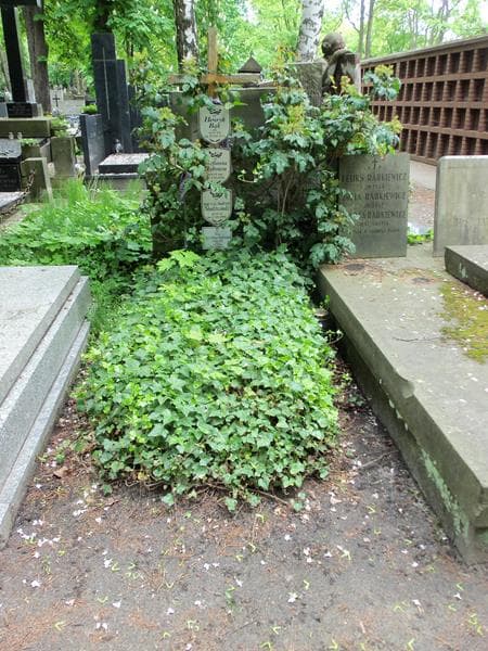 Zdjęcie grobu: Henryk Bąk