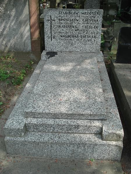 Zdjęcie grobu: Bronisław Cieślak