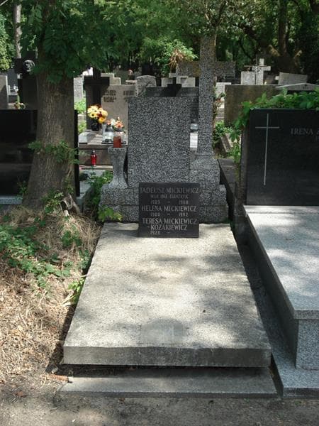 Zdjęcie grobu: Tadeusz Mickiewicz
