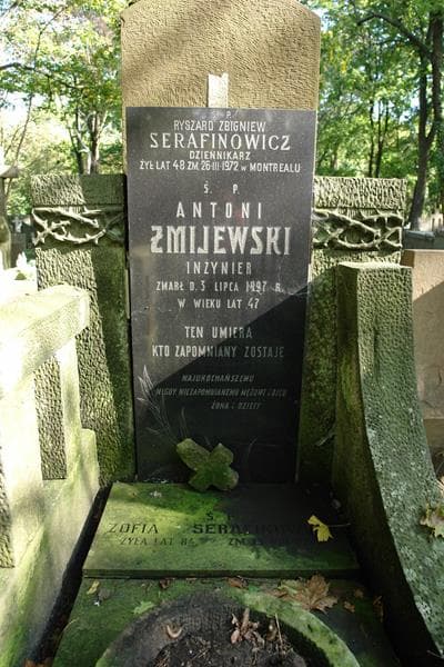 Zdjęcie grobu Antoni Żmijewski (2)