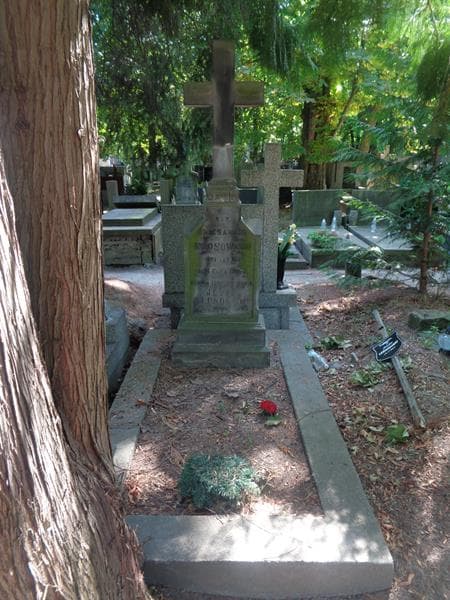 Zdjęcie grobu Józef Kłosowski (1)