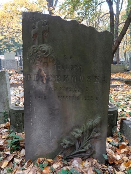 Zdjęcie grobu Teodora Peterkowska (2)