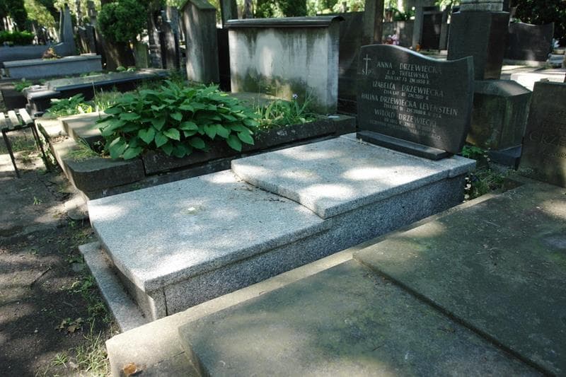 Zdjęcie grobu: Witold Drzewiecki