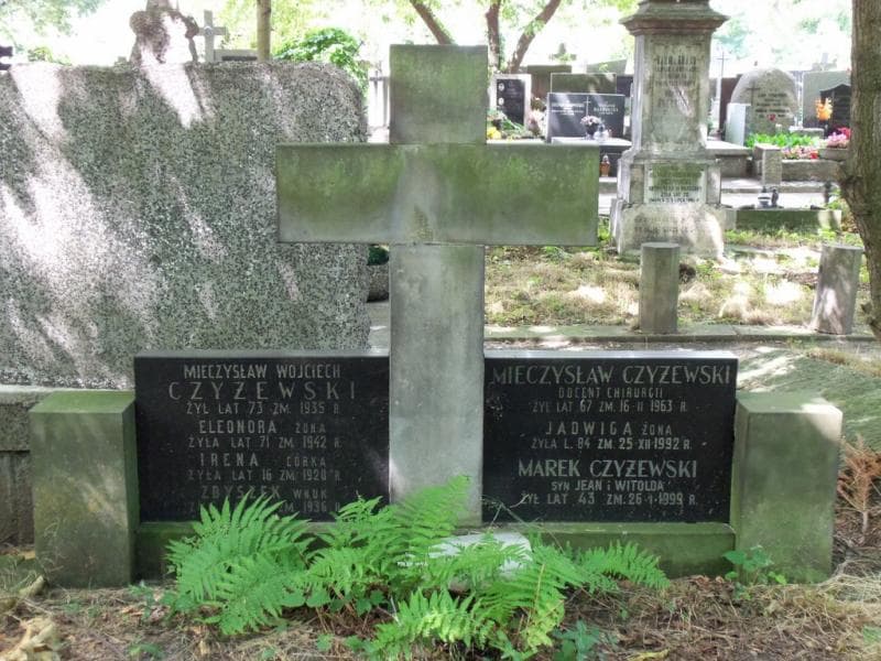 Zdjęcie grobu Mieczysław Czyżewski (2)