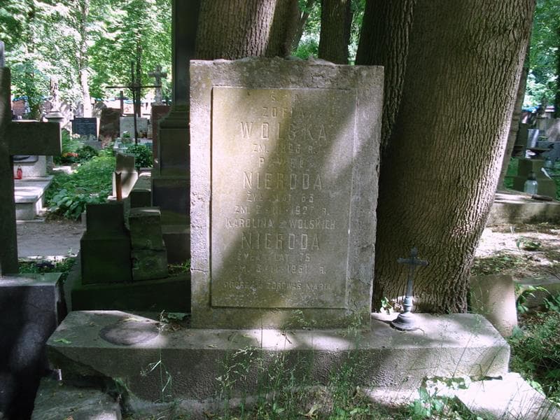 Zdjęcie grobu Zofia Wolska (2)
