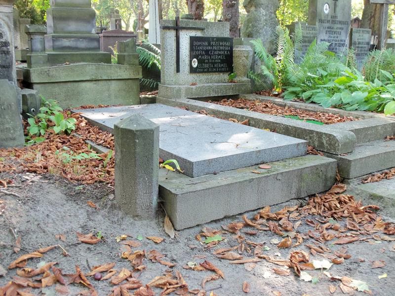 Zdjęcie grobu Józef Tarnowski (1)