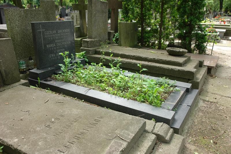 Zdjęcie grobu: Ewa Abramska