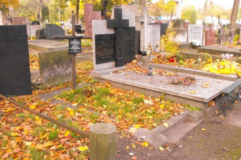 Zdjęcie grobu Ignacy Ilcewicz (1)