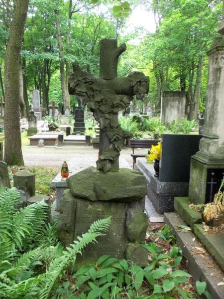 Zdjęcie grobu Bolesław Żółkiewski (1)
