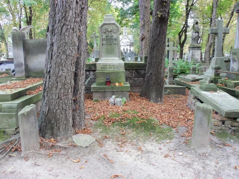 Zdjęcie grobu: Wikcia Brzezińska