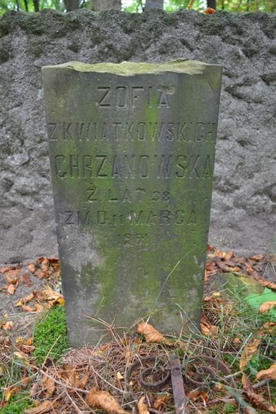 Zdjęcie grobu Zofia Chrzanowska (2)