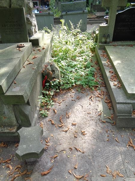 Zdjęcie grobu Pole Grobowe (1)