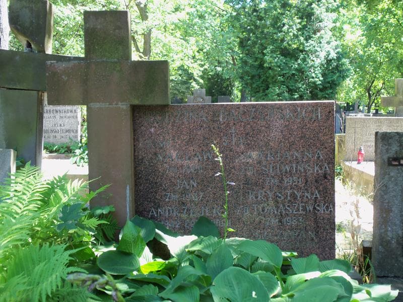 Zdjęcie grobu Andrzejek Baczyński (2)