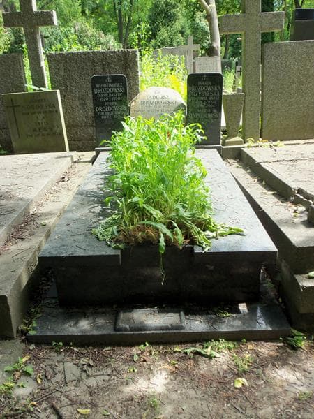 Zdjęcie grobu: Maria Drozdowska Przybylska