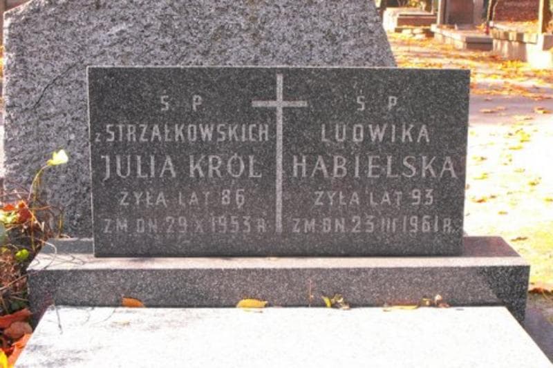 Zdjęcie grobu Julia Król (2)