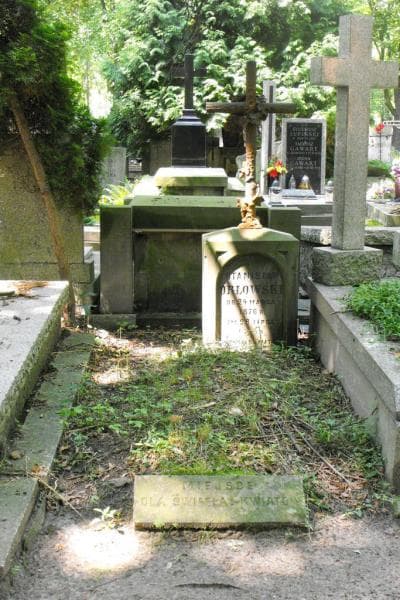 Zdjęcie grobu: Stanisław Orłowski