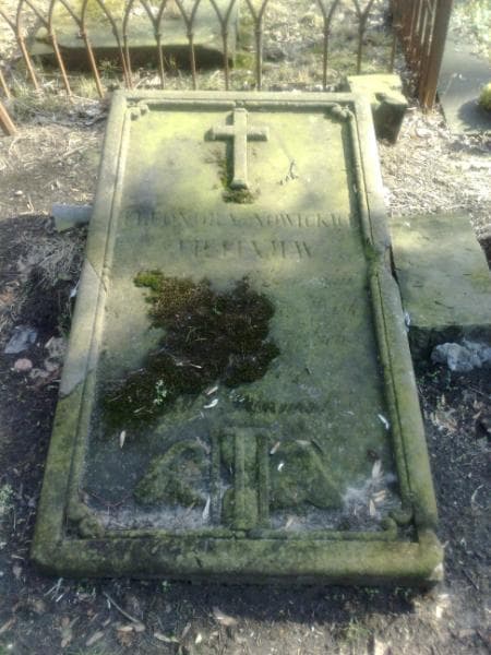 Zdjęcie grobu Eleonora Tiufiajew (1)