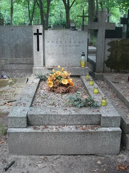 Zdjęcie grobu: Kazimierz Nowakowski