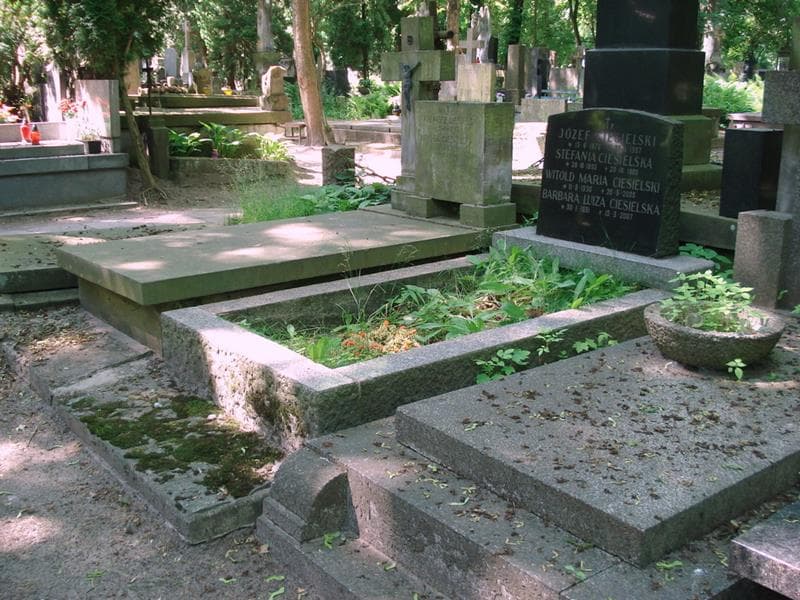 Zdjęcie grobu: Józef Ciesielski