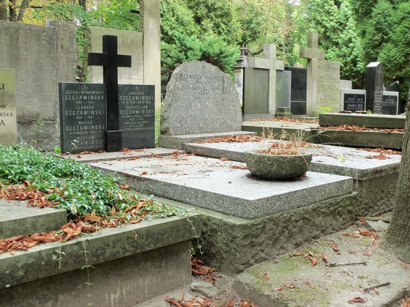 Zdjęcie grobu Januszek Szczawiński (1)