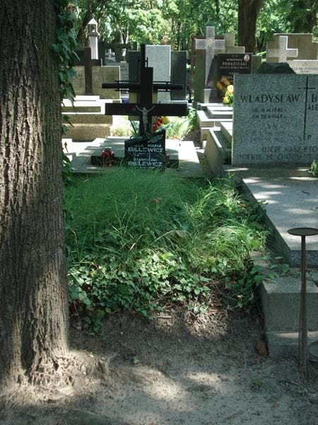 Zdjęcie grobu: Aniela Maria Billewicz