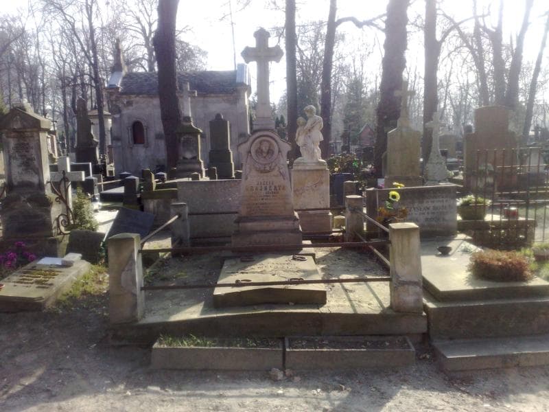 Zdjęcie grobu: Zofia Januszewska